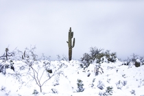 Rare heavy snow storm at Desert Mountain in Scottsdale AZ  