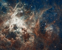 Raucous stellar breeding ground in  Doradus located in the heart of the Tarantula nebula 