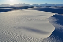 Recent shot while hiking at White Sands Natl Monument NM 