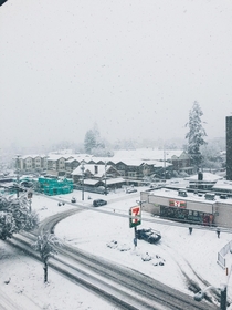 Record breaking snowfall in Eugene OR  inches over night