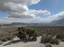 Red Rock canyon Mojave desert 