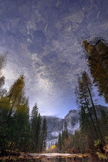 Reflecting in Yosemite II OC