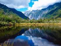 Reflection in a lake Franz Josef New Zealand  x