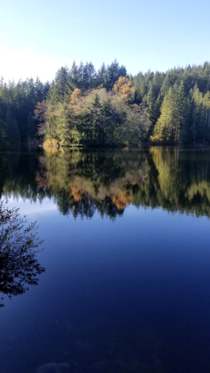 Reflection on Rice Lake North Vancouver BC 