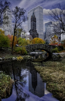 Reflections of the cityscape in Central Park NYC Photo by Ron Diel 