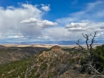 Rendija and Barrancas Canyons in Los Alamos NM    