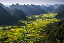 Rice plots in the Bacson Valley by HaiThinh Hoang 