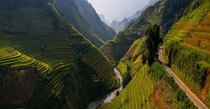 Rice Terraces in Vietnam Photo by Por Pathompat 
