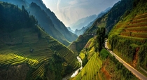 Rice terraces M Cang Chi District Vietnam by Sarawut Intarob 