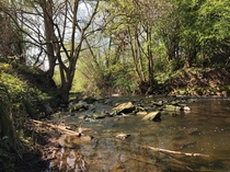 River Dearne 
