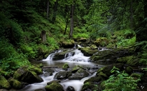 River deep in the Black Forest Germany  by NYClaudioTesta