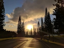 Road to Hana Maui 
