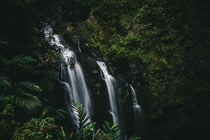 Road to Hana Waterfall Maui x 