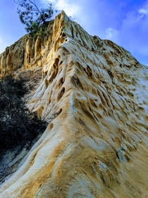 Rock formation Torrey PinesCA 