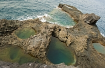 Rockpools on the coast of El Charco in the Canary Islands  Photographed by Alexis Martn