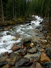 Rocky Mountain stream 