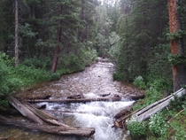 Rocky Mountain Stream Colorado USA 