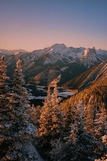 Rocky Mountains Alberta Contax TVS - Portra  x