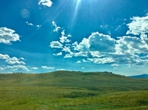 Rolling hills of central Montana 