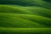 Rolling hills of Val dOrcia Tuscany Italy 