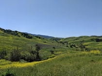 Rolling yellow hills Chino Hills State Park 
