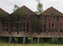 Roof tile factory reclaimed by nature 