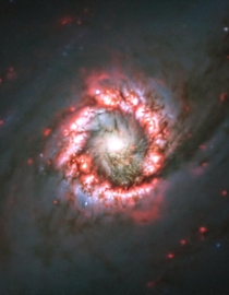 -Rose of star formation around distant supermassive black hole - Captured with the MUSE instrument on ESOs Very Large Telescope VLT this image of the distant spiral galaxy NGC  shows a textbook example of a star-bursting nuclear ring