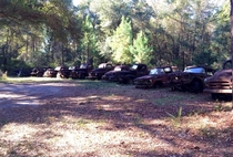 Row of abandoned cars and trucks southwest of Tallahassee FL 