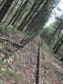 RR track in Shirley MA 