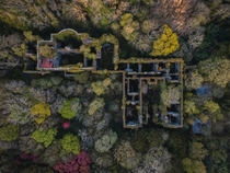 Ruined Mansion in the middle of a woods 
