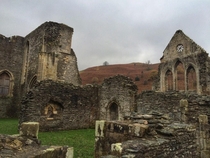 Ruins of the Valle Crucis Abbey in North Wales  by Rob Lloyd
