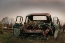 Rusted out truck in a field in rural Ontario Canada 