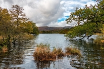 Rydal Water Lake District England 