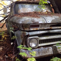 s Chevrolet pickup in the woods of Northern Michigan 