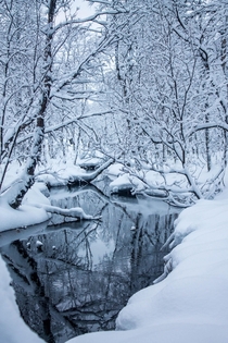 Saariselka National Park Finland - The snow just kept on falling  OC