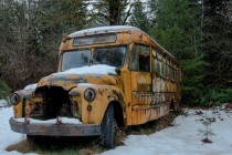 Sad old bus 
