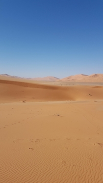 Sahara_desert in the heart of the great desert and the dunes x oc