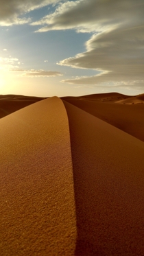 Sahara desert Morocco 