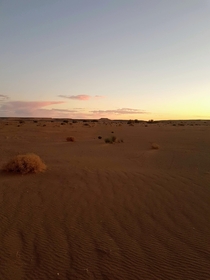 Sahara_desert sunset x oc