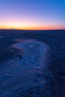 Salt crystals on the dry mud at dusk - Great Salt Lake UT 