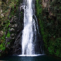 Salto de aguas blanca Constanza dominican Republic 