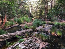 Saltwater Creek Pacific Pines Qld Australia Out walking the dog and found this amazing picnic spot 