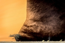 Sand Dune Namibia by Dana Allen 