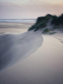 Sand dunes in Coastal Oregon 