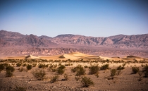 Sand Dunes of Death Valley 
