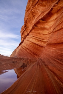 Sandstone Wall at The Wave in Arizona  x