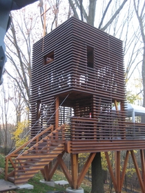 Sapele wood treehouse built around a tree on the Mainline in Philadelphia Design was inspired by a Japanese paper lantern