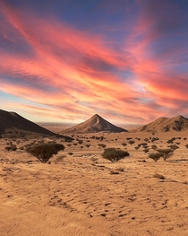 Saudi Arabian Desert outside the capital city of Riyadh 