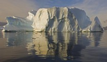 Sculptured iceberg in North Bay Rothera Point Adelaide Island Antarctica 