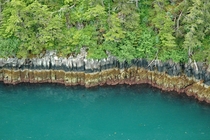 Sea cliffs at Prince William Sound Alaska by Rich Press 